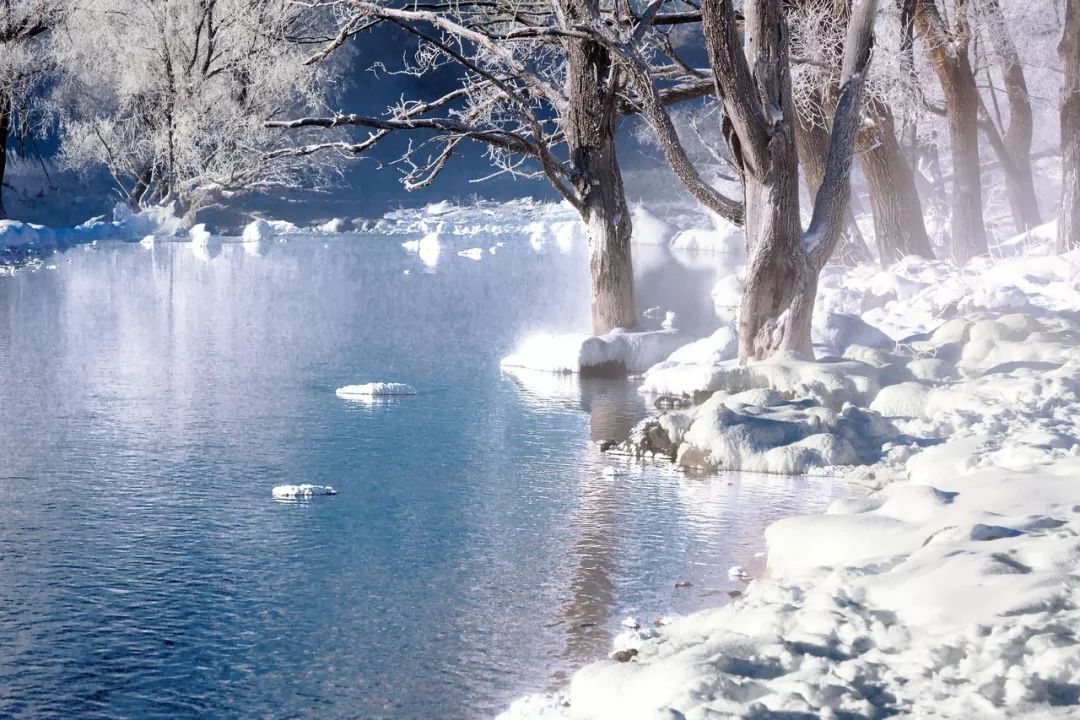 有一种冬天，叫呼伦贝尔