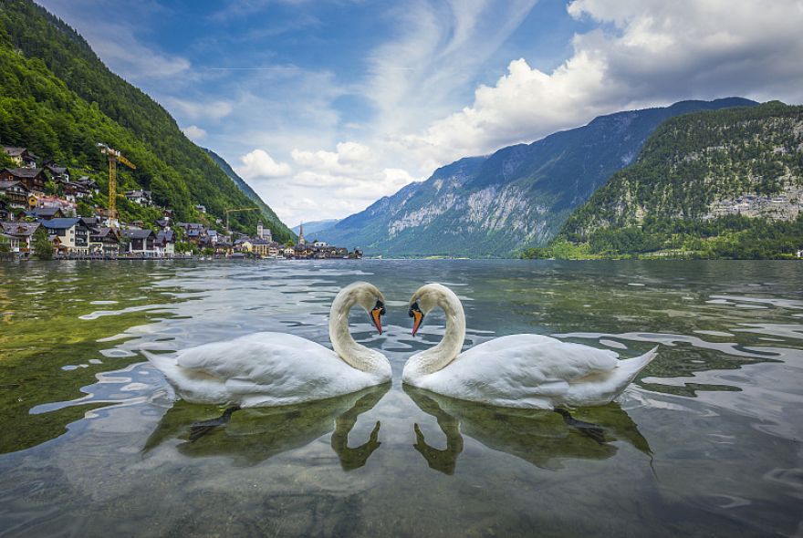 欧洲天堂小镇限流，不是所有风景都会一直等候……