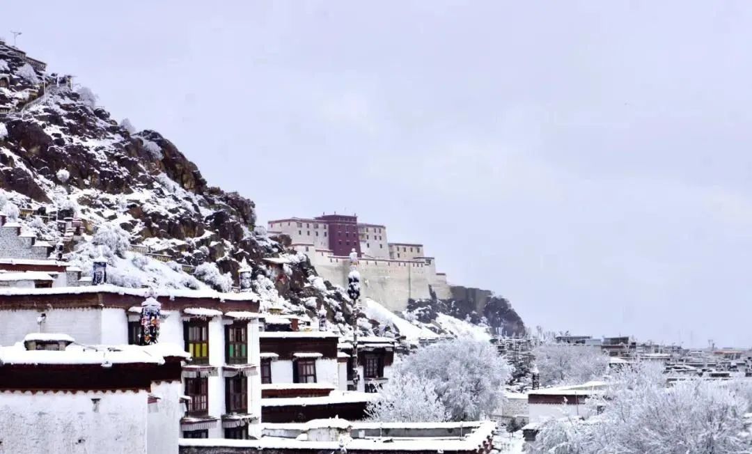 ​下雪后的西藏，每个角落都美翻了！