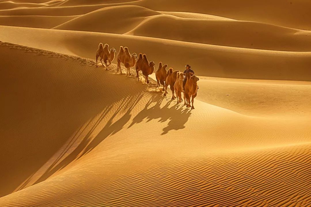 秋日旅行中最美的15个瞬间，你经历过几个？